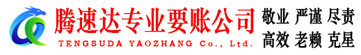 海丰清债公司